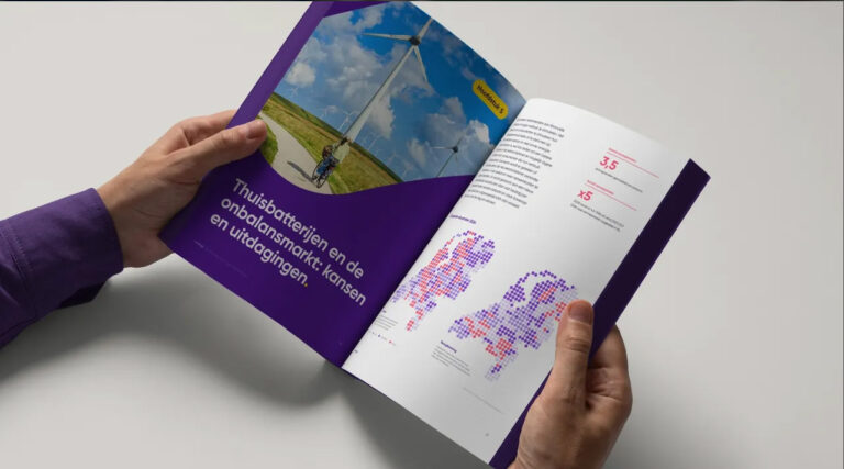 2025 wordt het jaar van de thuisbatterij